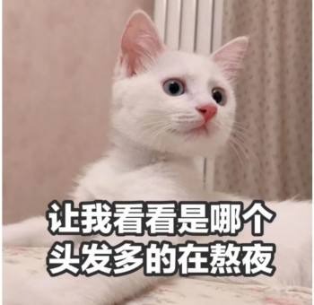 水印在右上角---xyf-单规格-有产品图片-虚拟产品哦